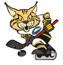  «ГУОР по хоккею»   VS ХК «Северсталь»   ( 11.01.2022